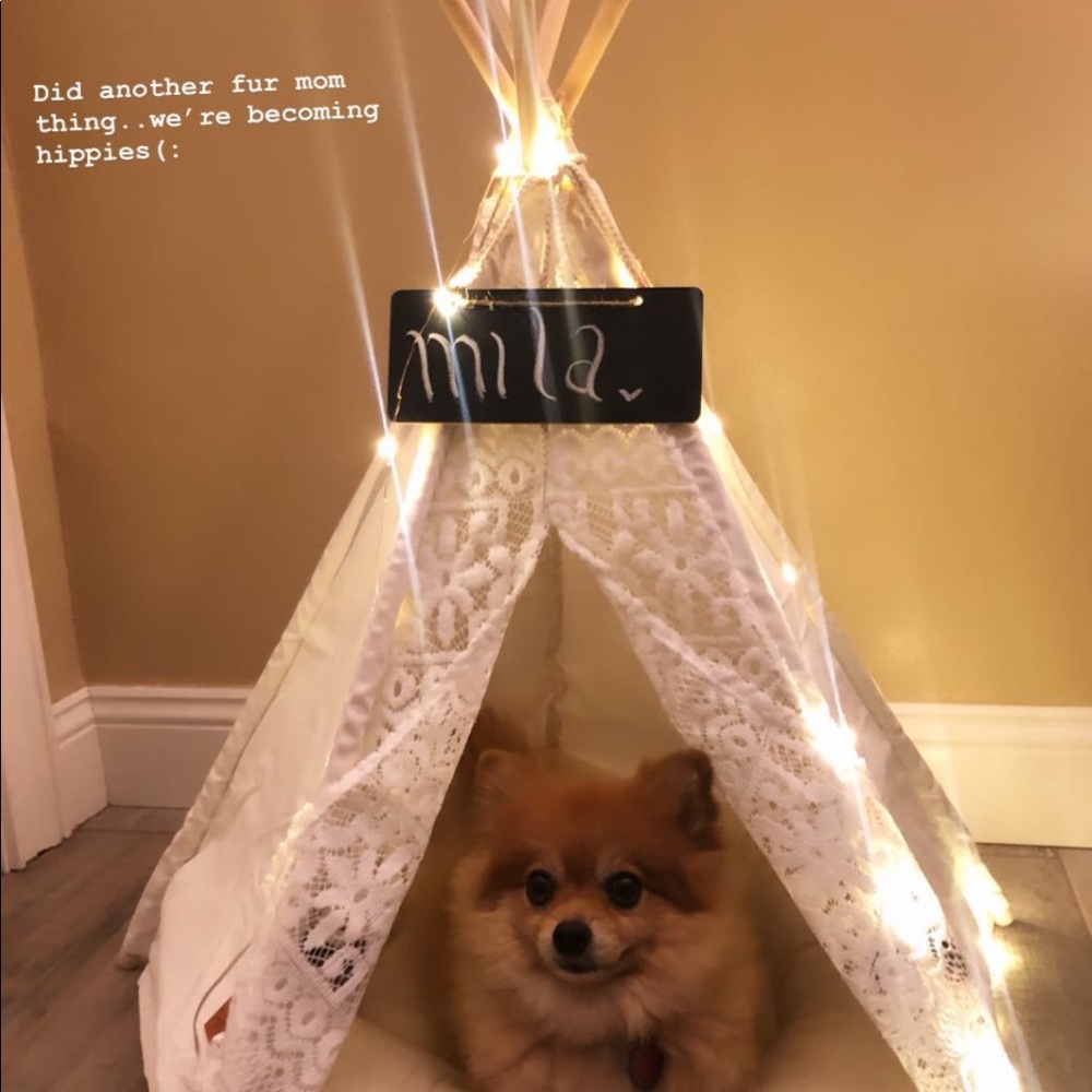 Dog/cat teepee